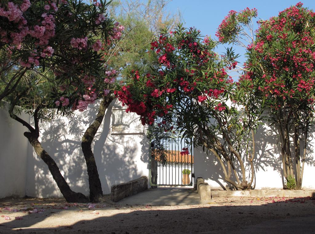 Hotel Cacharel Saintes-Maries-de-La-Mer Exterior foto