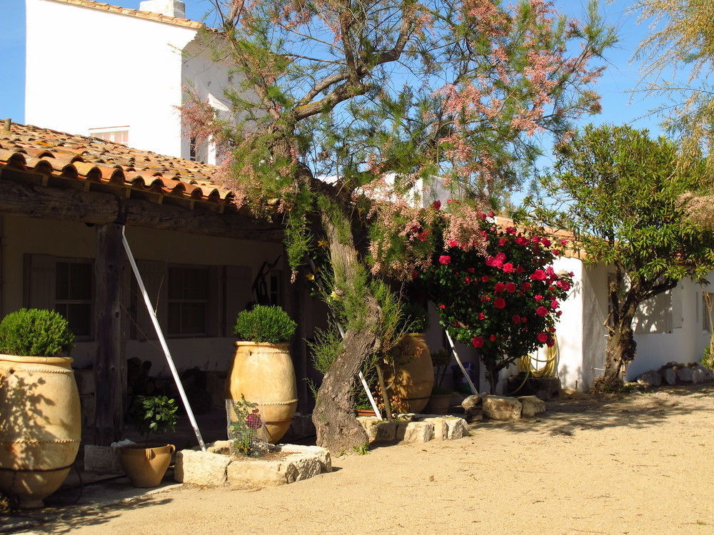 Hotel Cacharel Saintes-Maries-de-La-Mer Exterior foto